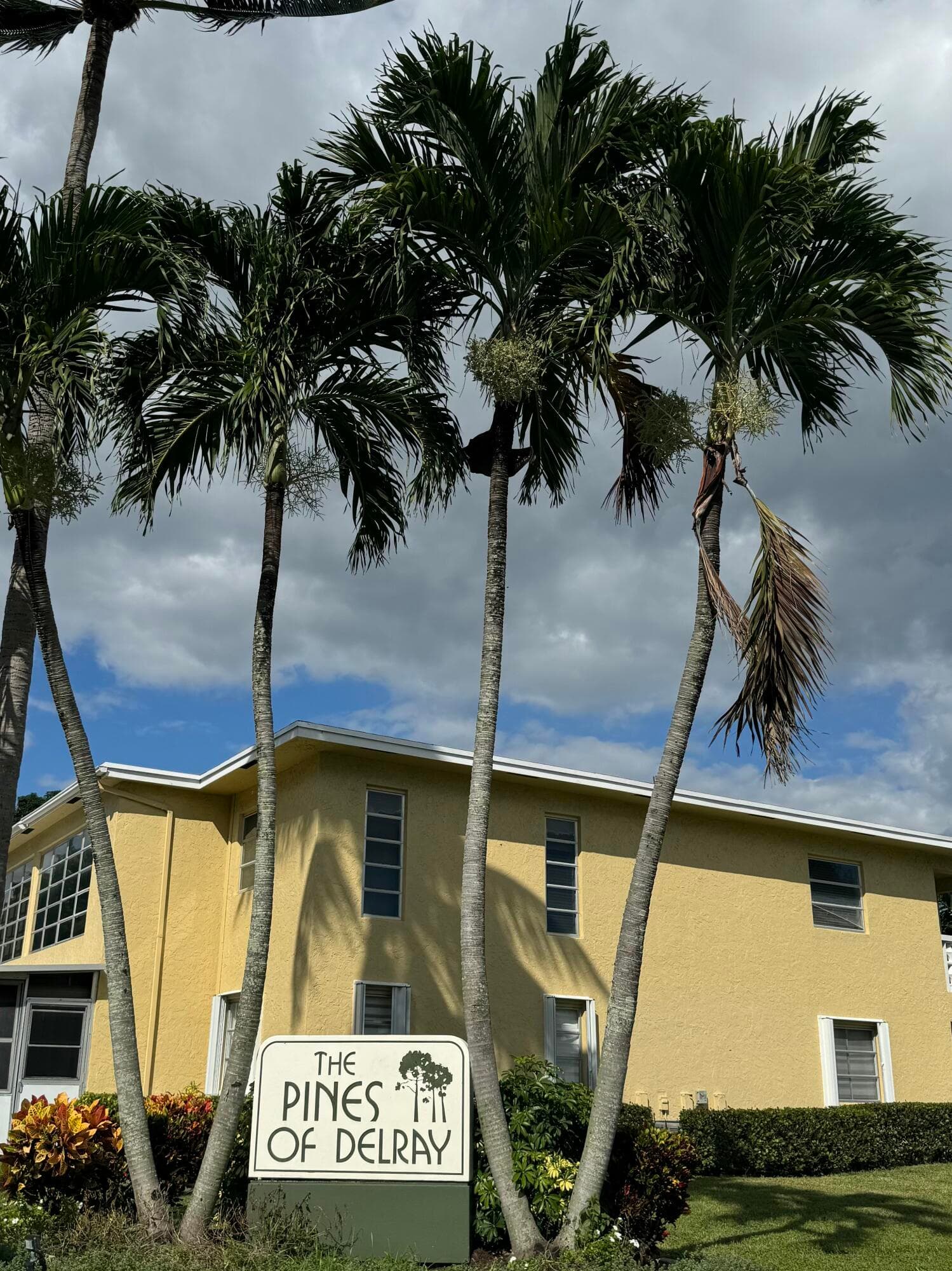 1141 Violet Terrace #202